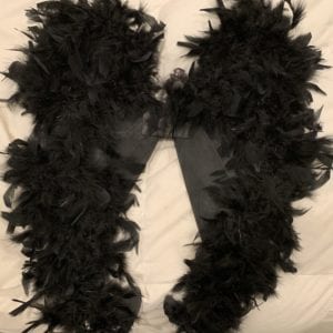 Black Fairy Wings