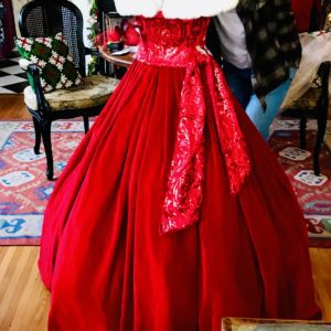 Exquisite and Ball Gown | ‘White Christmas’ Costimd