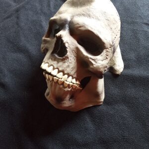 Large skull mask